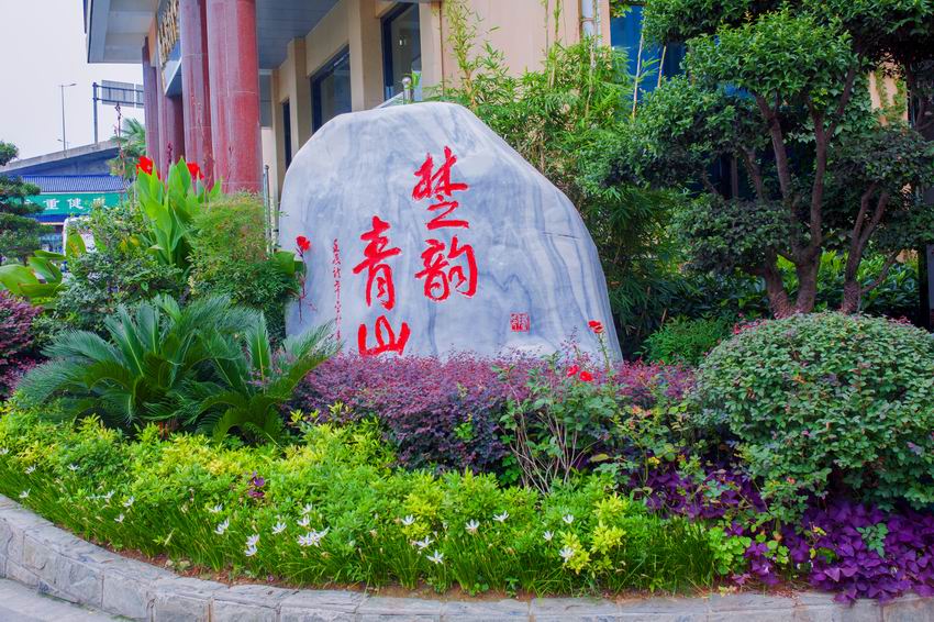 石头和花坛