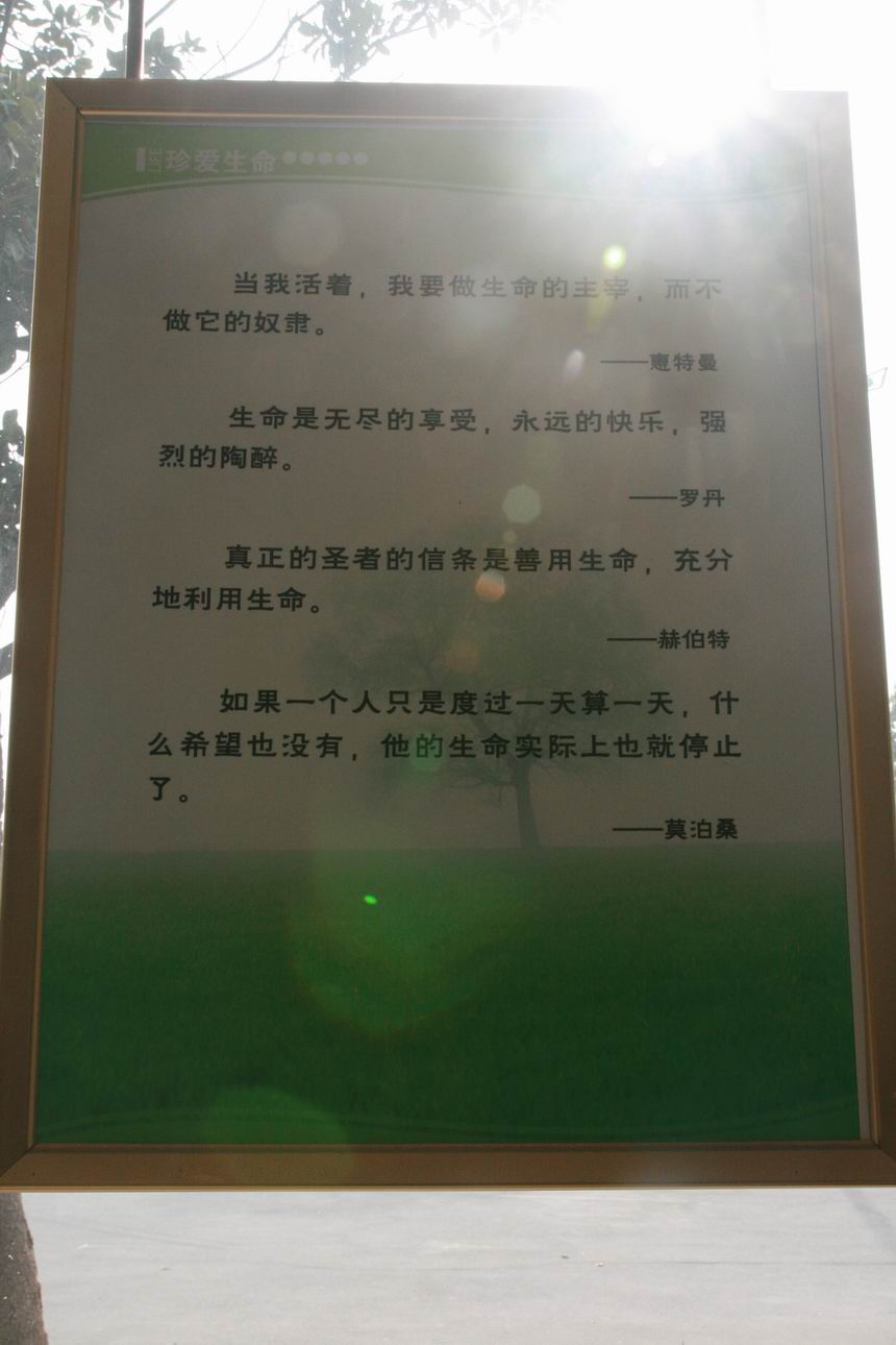 格言警句15